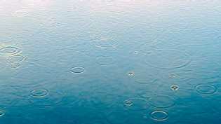 雨